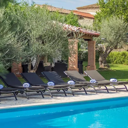 Luxury Unique Stone Rustica In Istria Villa *